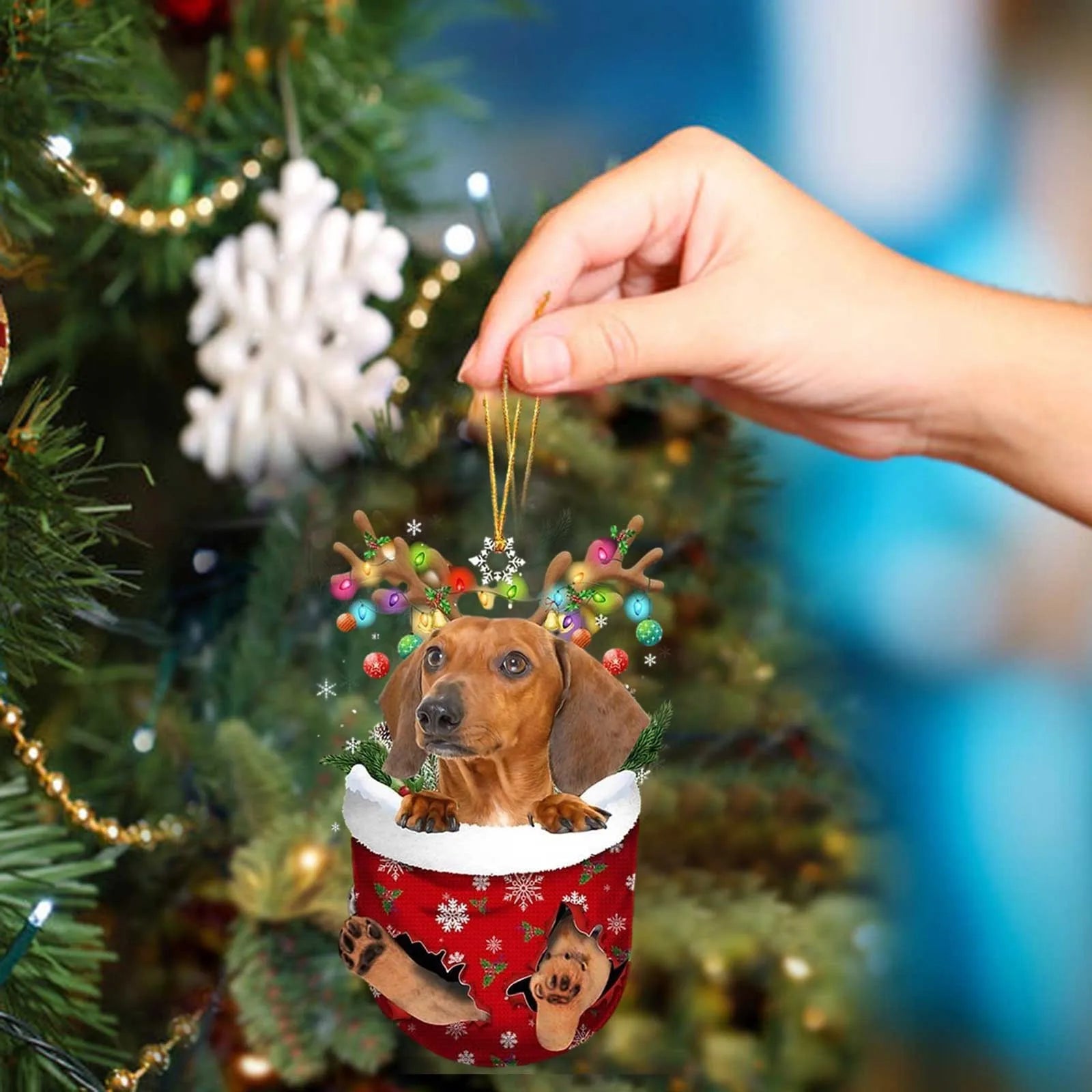 43725733527707|43725733560475