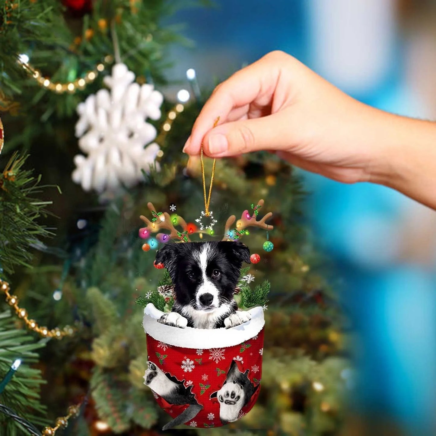 43725733265563|43725733298331