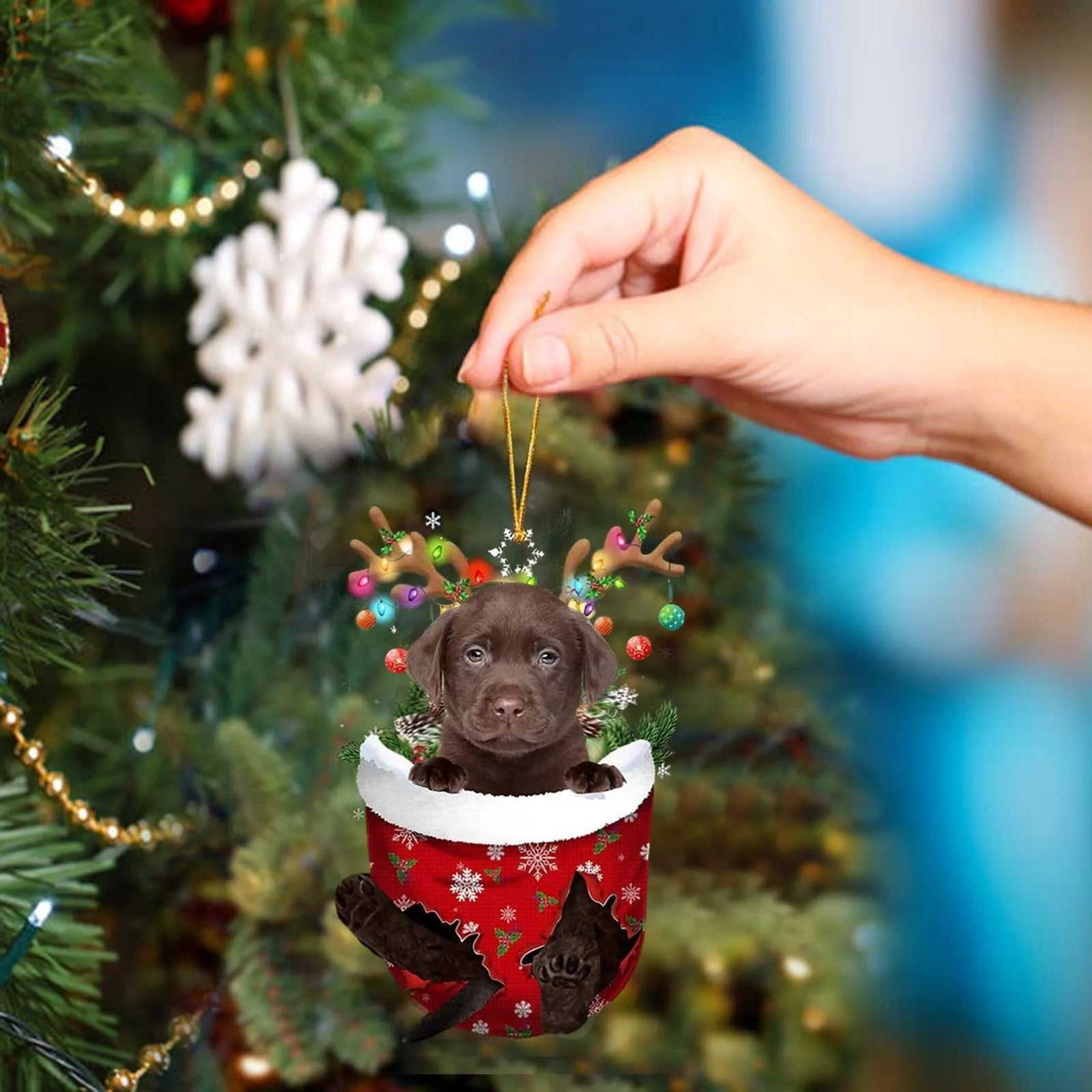 43725733331099|43725733363867